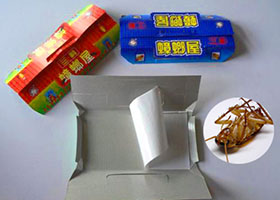 蟑螂屋，正邦助你滅蟑除害！